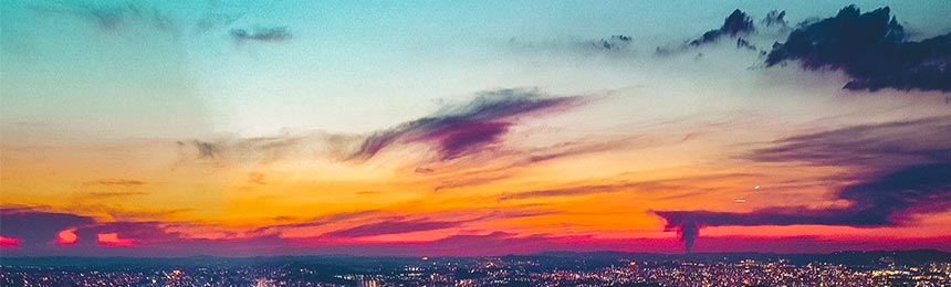 文山茶虫网_文山品茶